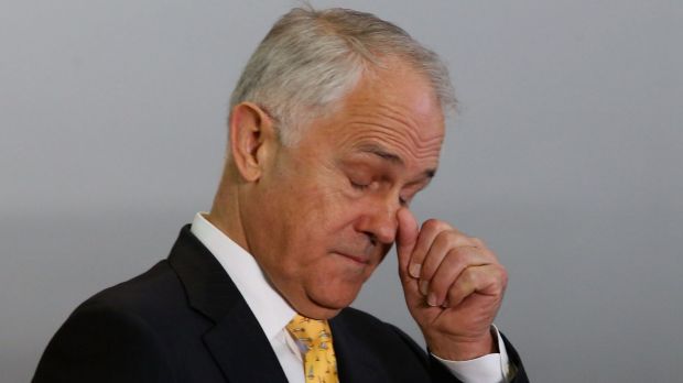 Prime MInister Malcolm Turnbull can expect pressure for a parliamentary vote from Liberal MPs who support marriage