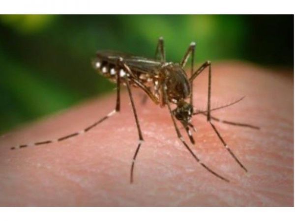 Mosquito Spray To Be Held In Warminster