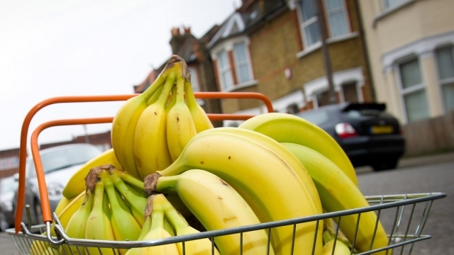 Fungi may cause bananas to go extinct in 5 to 10 years Study