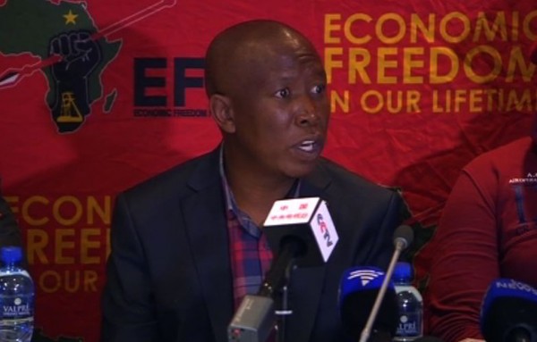 'We're not going to work with the ANC', says EFF's Ndlozi