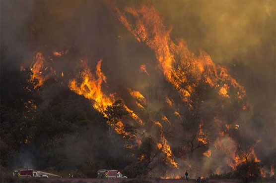 Since the beginning of the year some 4,600 fires have ripped through some 300,000 acres