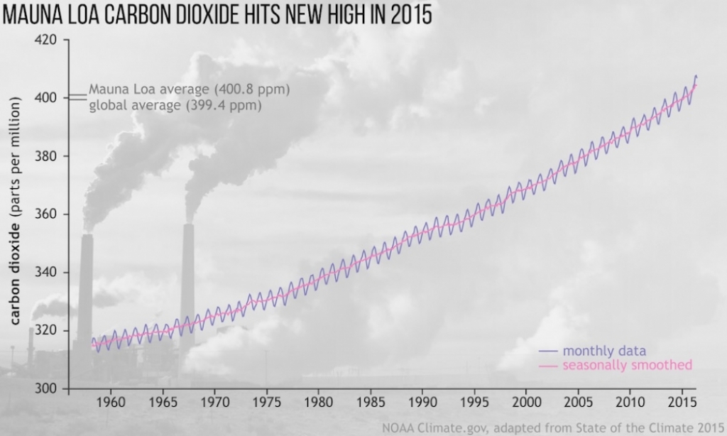 The rise of carbon dioxide levels in the atmosphere.
Click image to enlarge. Credit NOAA