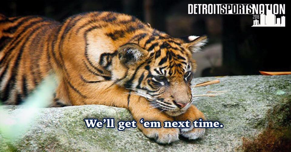 Tigers Loss