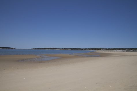 KA_Indian-Neck-Beach_Wellfleet_Spring-2016007-475x317