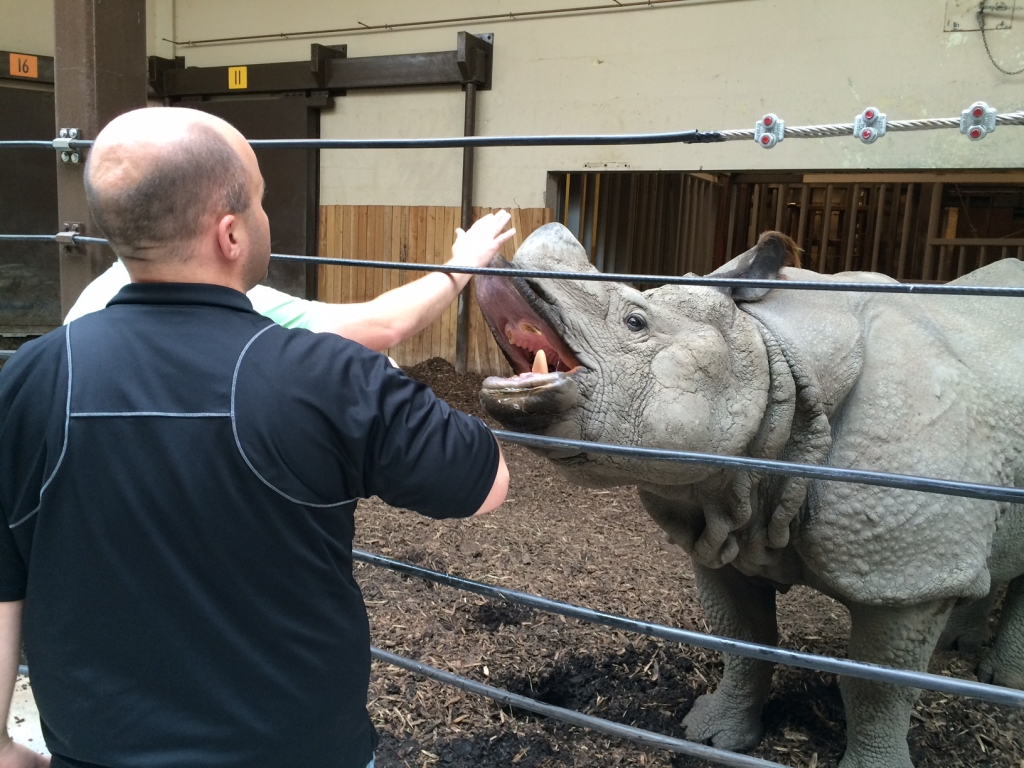 660's Ian Campbell gets a chance to meet Sabari the Rhino. He's moving to Ontario to make room for pandas at the Calgary Zoo. 660 NEWS Ian Campbell