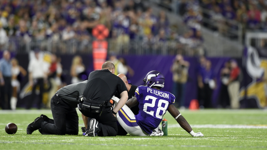 Adrian Peterson torn meniscus