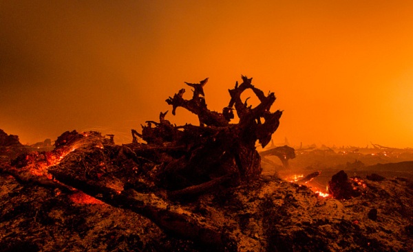 A view of burned stumps as a peatland forest is cleared by burning it for a palm oil plantation at a company's grounds in the outskirts of Indonesia