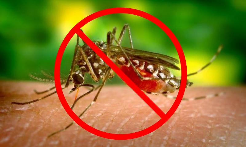 Sri Lanka declared Malaria Free by WHO Only Second After Maldives in South East Asia