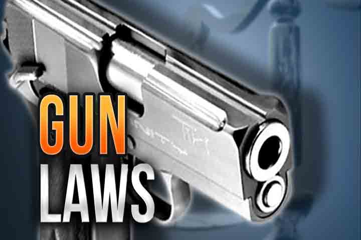 Andrews hails expanded gun rights