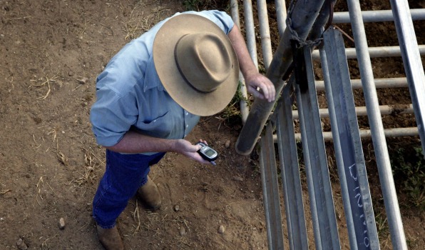 Mobile phone networks in rural Australia will be investigated and could be regulated