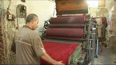 Wool production rises ahead of Eid al Adha in Egypt