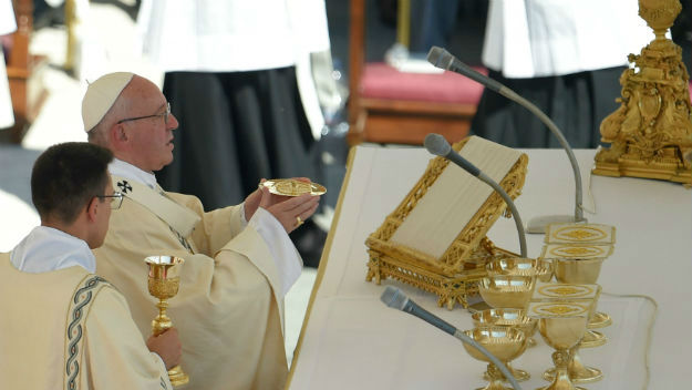 Pope Francis celebrates Holy Mass and Canonization for Mother Teresa of Calcutta in St. Peter's Square at the Vatican