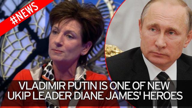 Vladimir Putin is one of new UKIP leader Diane James&#x27 heroes