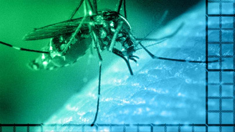 First Human West Nile Case Detected