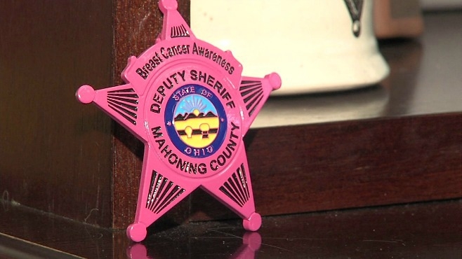 Pink Ribbon Badge