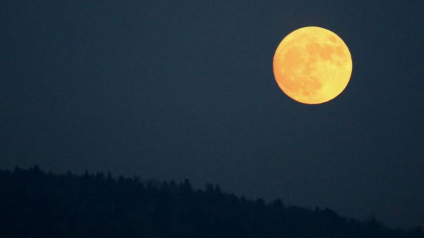 The Sunday night super moonrise above Grandfather Mountain was tinted by smoky air as numerous wildfires are burning in western North Carolina