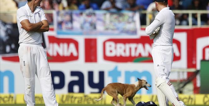 Dog stops play in cricket match between India and England