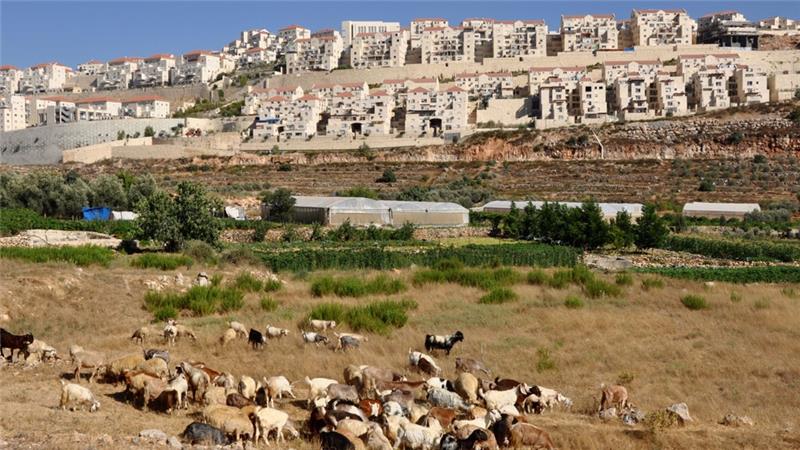 Israel plans to build 500 more illegal settlement homes in occupied East Jerusalem