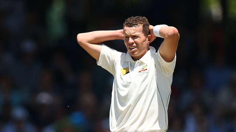 Peter Siddle made his first appearance for Australia in nine months in the first Test against South Africa