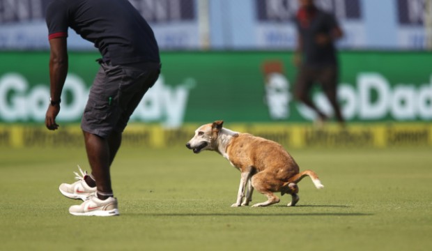 Vizag Test: Trio Ashwin, Jadeja and Mishra will spin it to win it vs England