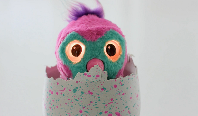 'Hatchimals' craze hits Delmarva