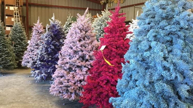 Holiday shoppers pining for colorful Christmas trees