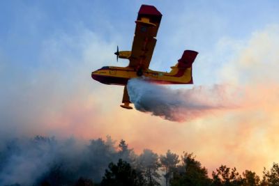 Dramatic photos show Israel's giant wildfires engulfing whole streets