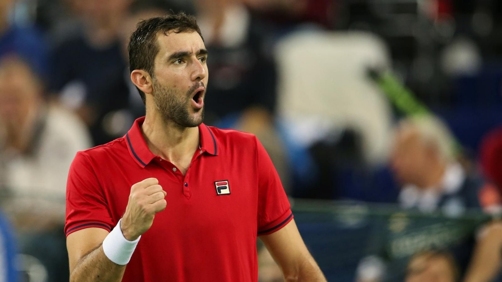 Marin Cilic gave Croatia an early lead in the Davis Cup 2016 Final