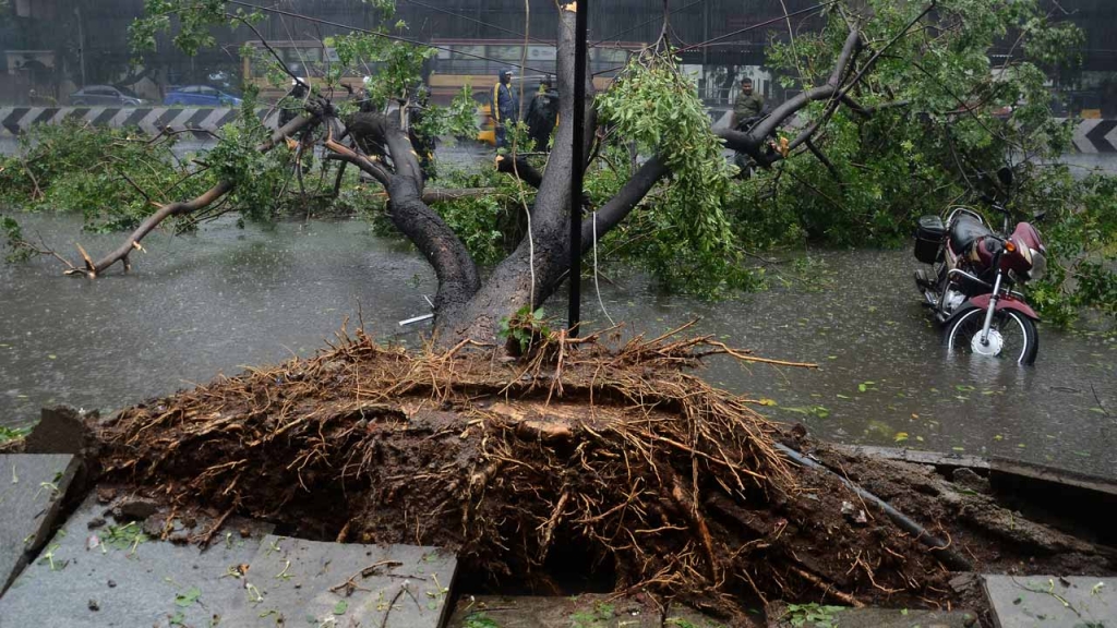 Indian bystanders look at a tree that fell across a street in Chennai after Cyclone Vardah crossed the Indian coast in the southern state of Tamil Nadu. At least 10 people were killed when Cyclone Vardah sla