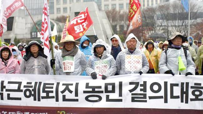 South Korea sees largest protests against President Park