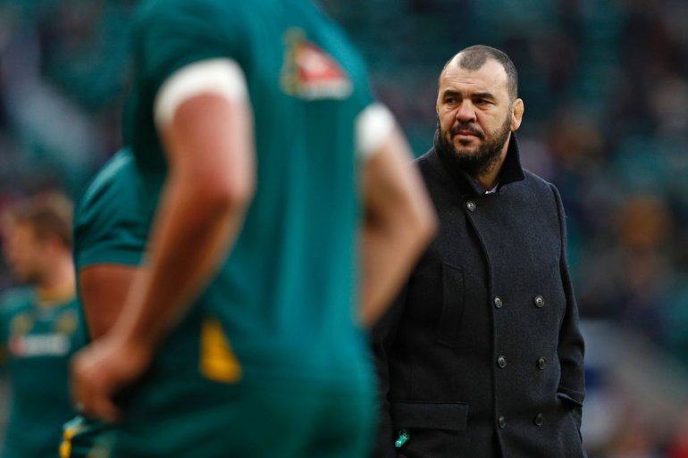 Michael Cheika predicts gain from Wallaby pain