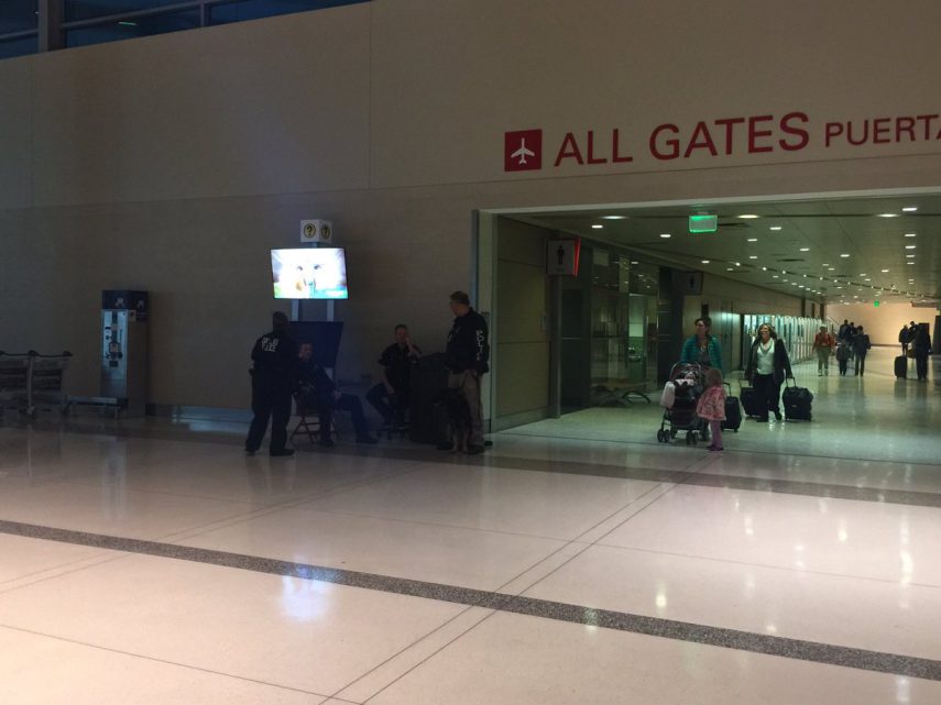 Security at Dallas Love Field airport