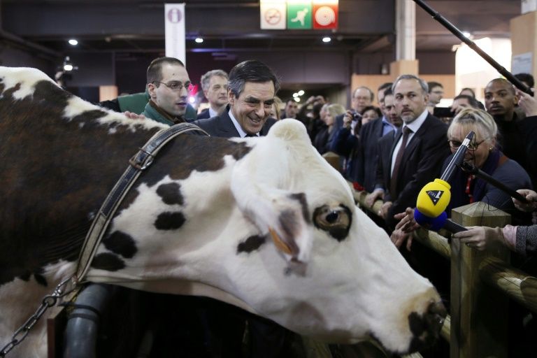 Francois Fillon visits the 2013 version of the Paris farm show but has postponed a visit to the 2017 eventMore