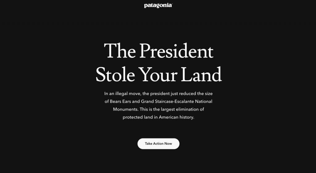 Patagonia homepage