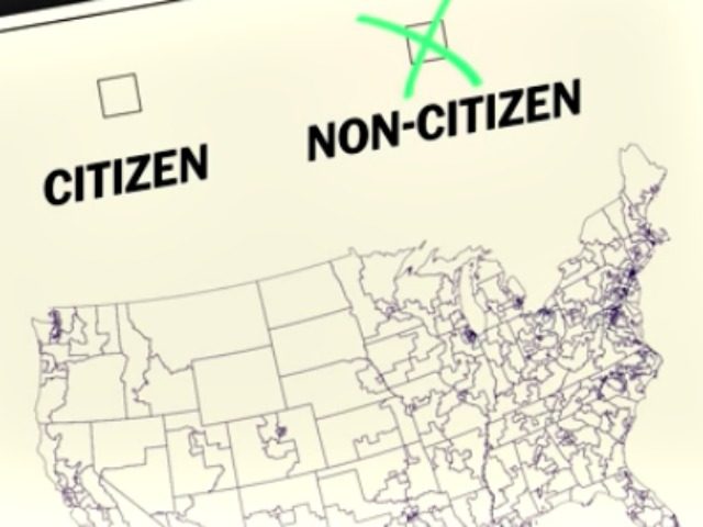 Census Citizen Non Citizen Graphic