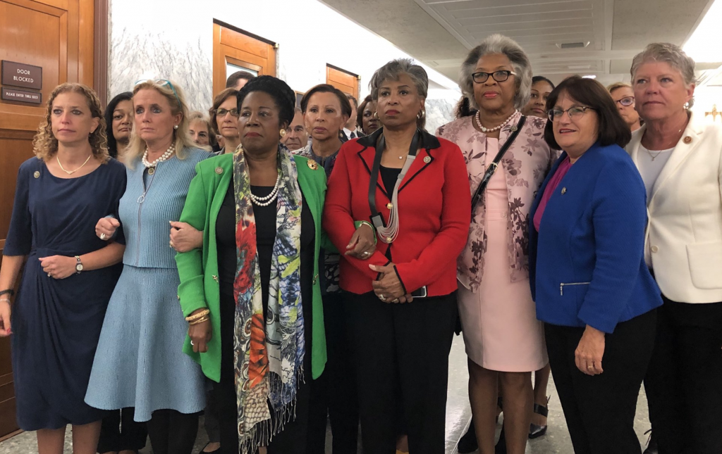 From left US Representatives Debbie Wasserman-Shultz Debbie Dingle, Shelia Jackson Lee Brenda Lawrence, Joyce Beatty Anne Kuster and Julia Brownley- BRENDA LAWRENCE  TWITTER