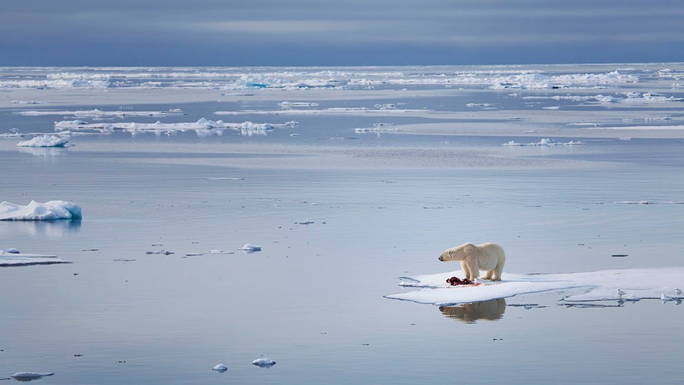 'Unprecedented' Climate Action Needed To Save Planet, Dire Report Warns